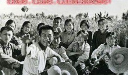 知青奇闻爆料事件真相视频,真相背后的惊人内幕